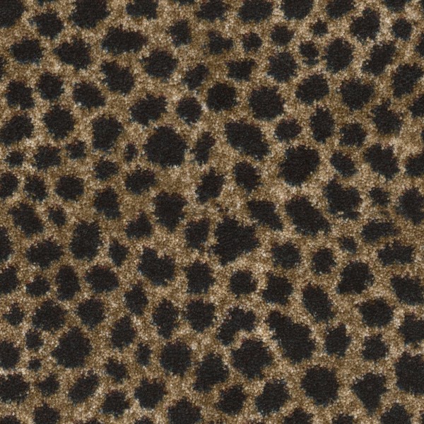 Simaruba Cheetah